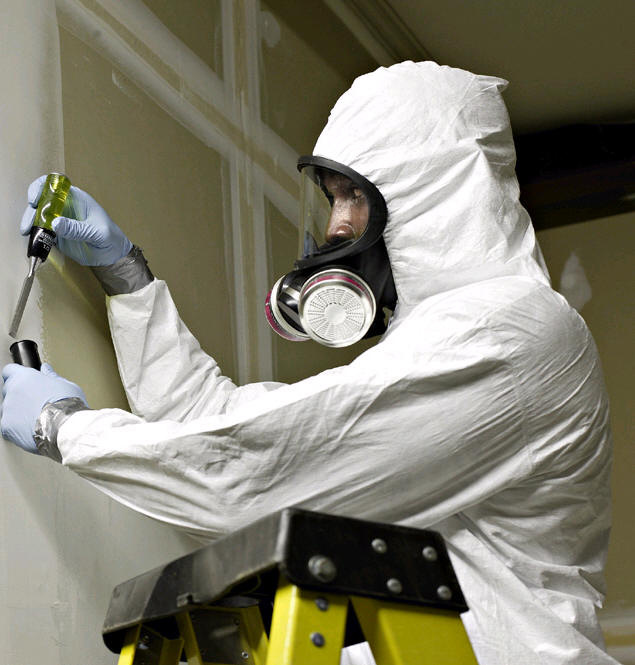 Do It Yourself Mold Remediation 